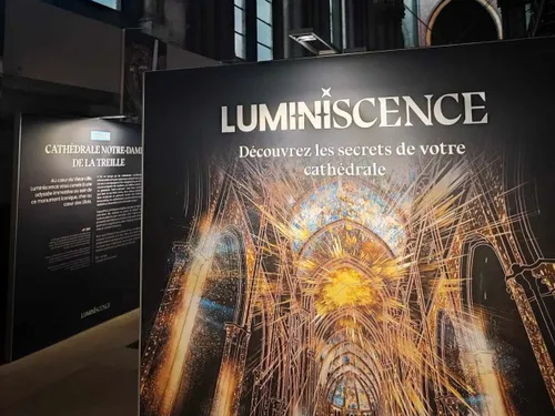 Le spectacle Luminiscence au cœur de La Treille à Lille