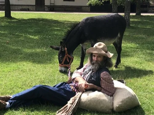 Une journée du bien-être animal au Musée Plein Air