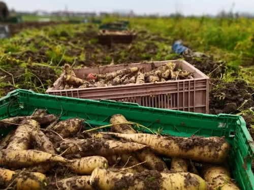 Le Court Circuit est devenu une coopérative