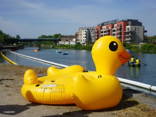 Les canards vont de nouveau faire la course à La Madeleine
