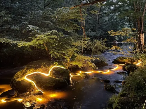 A la découverte des forêts de la région en juin