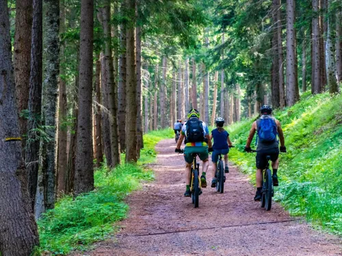 Des parcours VTT et randonnées à pied pour le Cassel Trophy