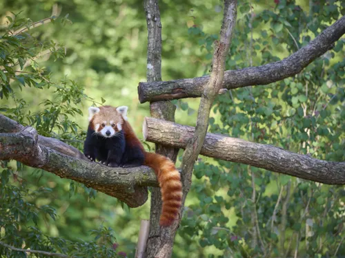 Le zoo d'Amiens à 1 € ce week-end