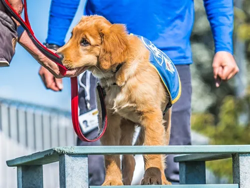 Les idées de sorties ce week-end dans la région