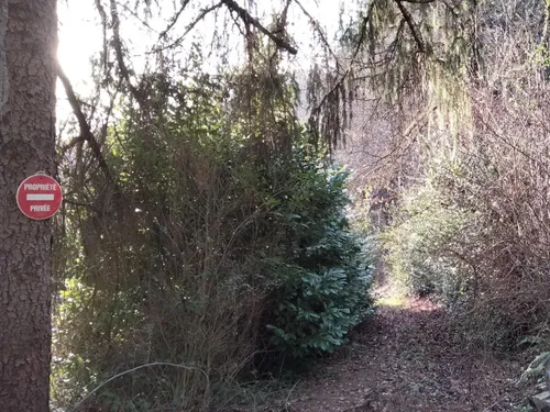 L’horreur à la barre des assises de l’Aveyron