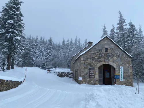 La neige de retour sur le Mont-Lozère, la station ouverte