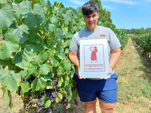 "Pour sauver les vignerons il faut lever le coude" : les vins du...