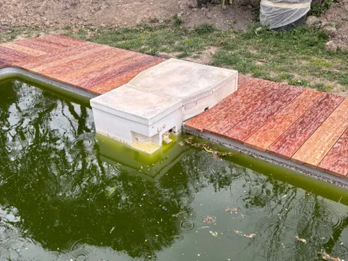 Chaleur : que faire quand votre piscine tourne au vert ?