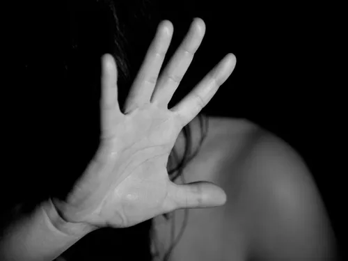 Une Maison des femmes pourrait ouvrir en Lozère en 2025
