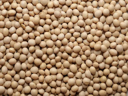 Plus d'aliments à base de soja pour les collégiens tarnais