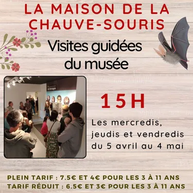 Visite guidée de la Maison de la chauve-souris à Kernascléden