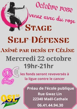 Stage de self-défense à Maël-Carhaix 