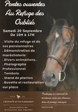 Portes ouvertes  au Refuge des Oubliés à Langonnet
