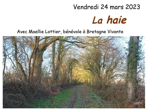 Balade et conférence sur les haies à Châteaubriant
