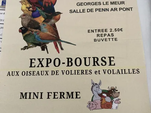 Expo-bourse aux oiseaux de volières et volailles à Châteauneuf-du-Faou