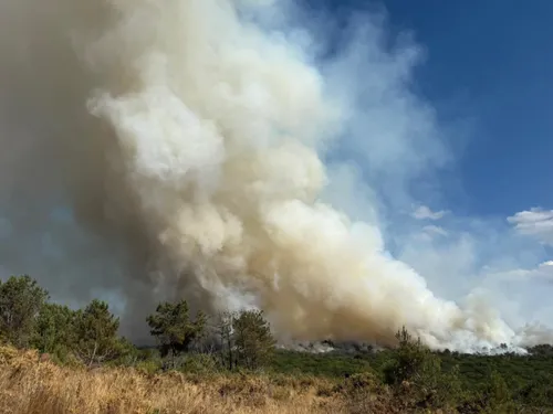 Forêt de Brocéliande : le feu fixé, les opérations de sécurisation...