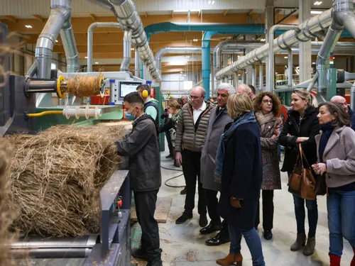 Vers une filière complète du chanvre textile en Normandie ?