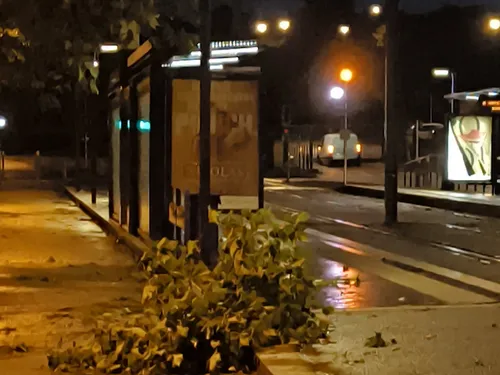 Orages : plusieurs parcs toujours fermés à Saint-Etienne-du-Rouvray