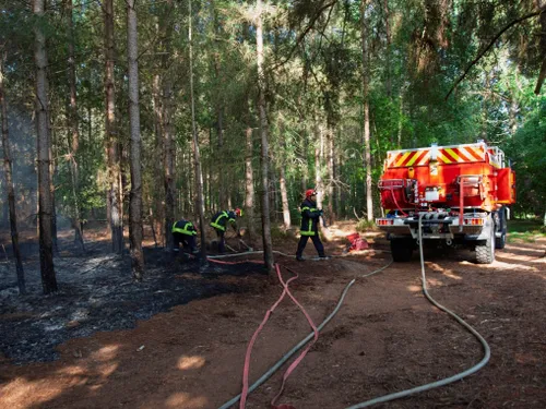 Incendies : plusieurs hectares de végétation détruits en Sarthe