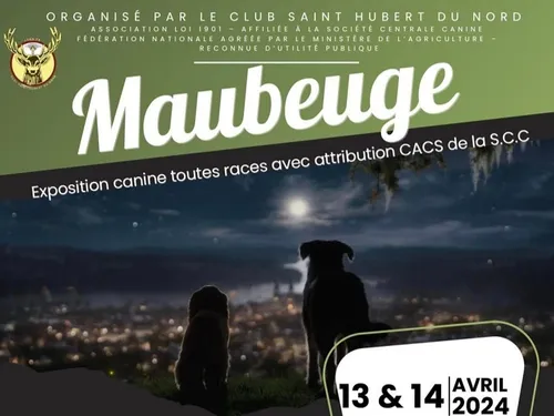Maubeuge : une exposition de chiens ce week-end !