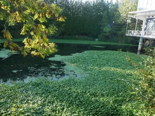 Une nature et des berges à préserver pour continuer à valoriser la...