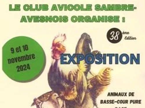 Exposition avicole