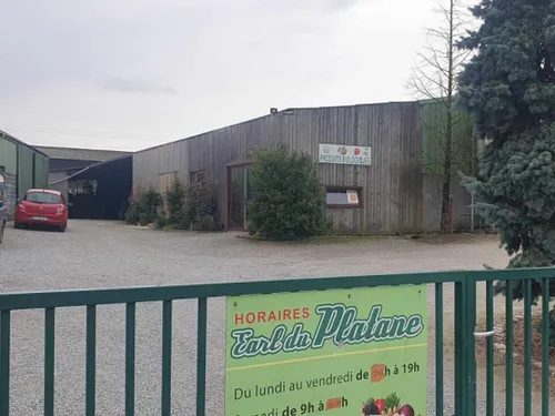 Saint-Hilaire-sur-Helpe : 6 000 poules à adopter samedi pour...