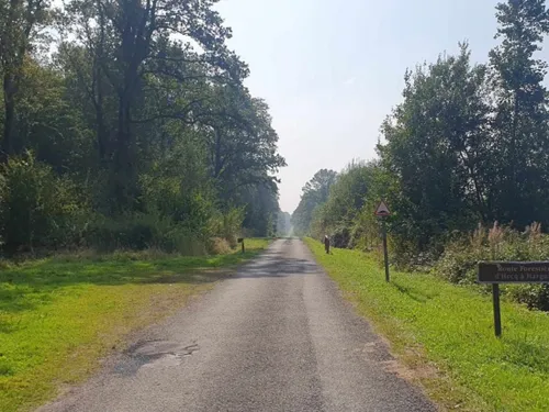 La fermeture de plusieurs routes forestières en forêt de Mormal !
