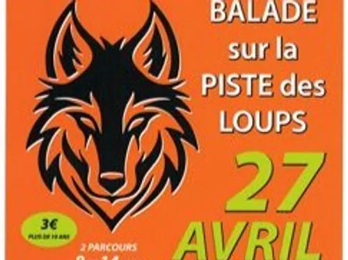 Balade sur la piste des loups