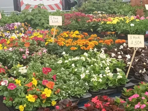 Guise : le retour ce dimanche du marché aux fleurs
