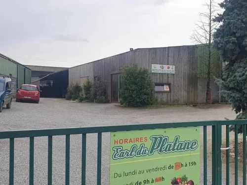 Saint-Hilaire-sur-Helpe : plus de 5 000 poules « bio » à adopter ce...