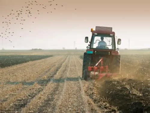 « La terre, ça se cultive, ça se bétonne pas »