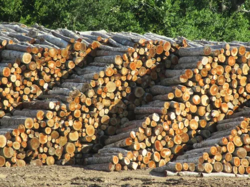 Anor : un nouveau professionnel du bois