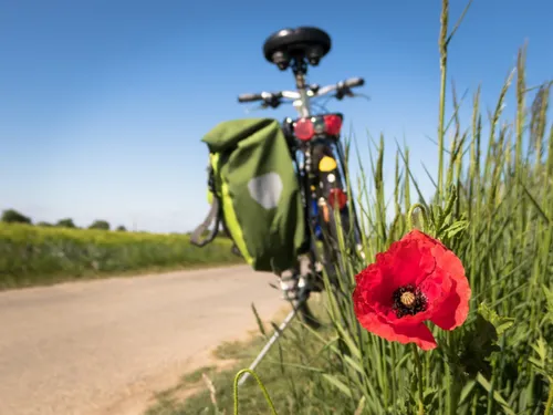 Vélo à la location : dès le 1er juin, ce sera possible