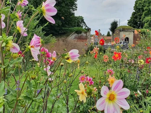 Le Quesnoy : un centre-ville redevenu attractif