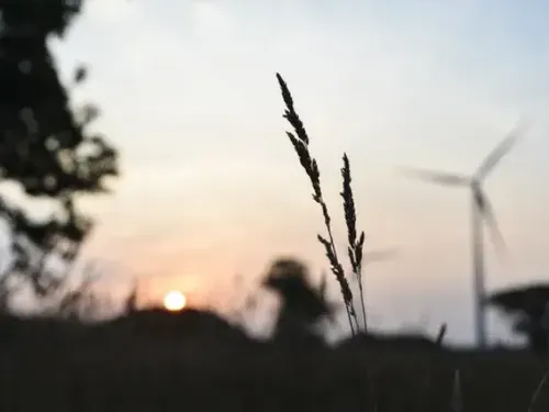 Des éoliennes entre Bachant et St-Rémy-Chaussée ? Les derniers...