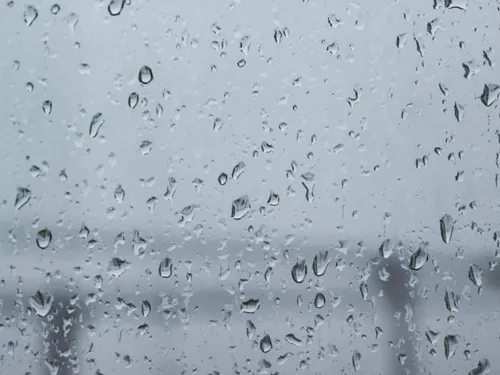 Peu de dégâts pour la tempête Benjamin en Avesnois
