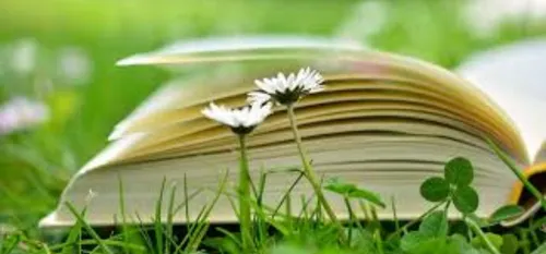 Les 21e Journées du Livre Régional, ce week-end à Etroeungt