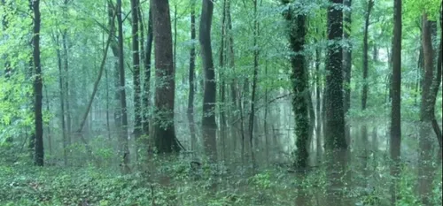 Mormal - Fermeture du Sentier des Nerviens à cause des inondations