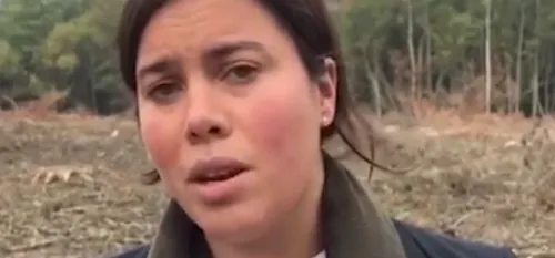 Non à la surexploitation forestière et aux coupes rases en forêt de...