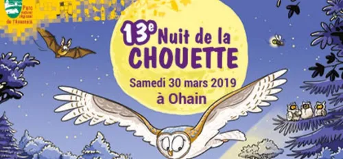 Une chouette nuit pour découvrir les chouettes