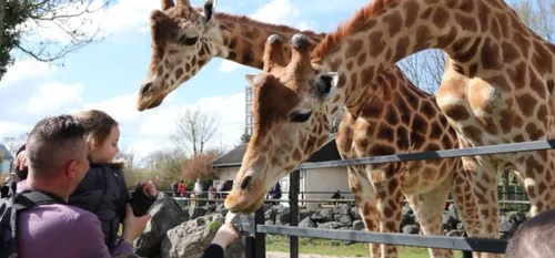 Maubeuge - Plus 10 000 visiteurs au parc Zoologique