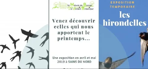 Sains du Nord : exposition sur les hirondelles