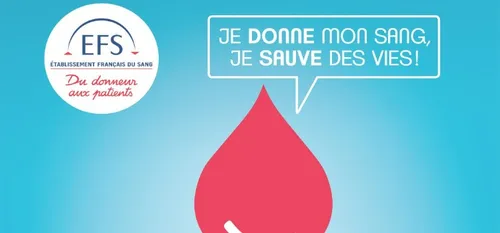 Le don du sang : on fait un bilan