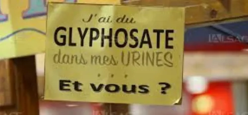Maubeuge : Opération de dépistage au glyphosate