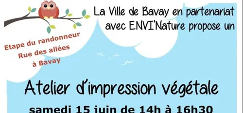 Bavay  : teindre avec la nature