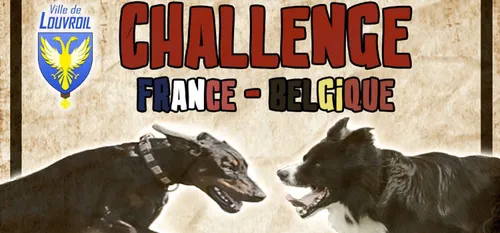 Louvroil - 80 chiens au Concours Annuel du Val des Loups ce week-end