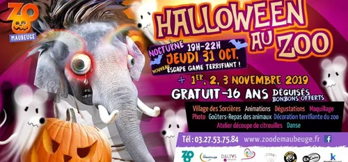 Halloween : rendez vous au zoo de Maubeuge dès ce 31 octobre