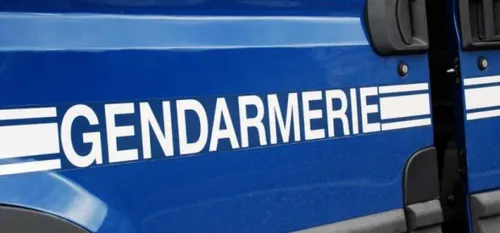 Ferrière-la-Petite - Un jeune homme tué d'un ou de plusieurs coups...
