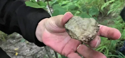 Une source pétrifiante, "tufeuse" à Bousignies-sur-Roc, aujourd'hui...